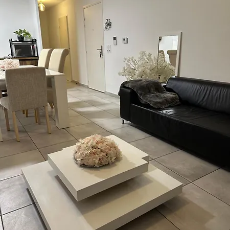 Le Reflet D'ambre Apartment Gex