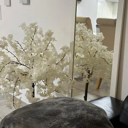 Le Reflet D'ambre Apartment *